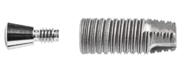 regular dental implant picture